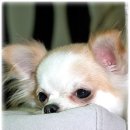 패밀리와와 이미지