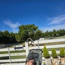 미숙목장 이미지