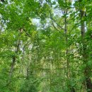 건지산숲속작은도서관 이미지