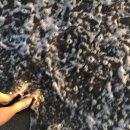 헤드클럽 이미지