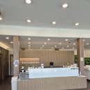 별이되다 | 부산 강아지장례식장 이용후기 : 이용후기 좋은 부산강아지장례식장 소개 - 하늘의 별이되다