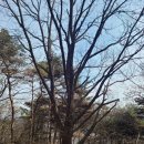 송림마을1단지 버스정류장→반석역 방향 버스정류장 | 대전 세종-유성 바램길(대전세종 걷기길 모음 2/3)