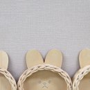 대덕초등학교 | 대전라탄출강수업 대덕초병설유치원 친구들과 함께 토끼트레이 단체 클래스 후기