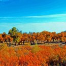 무릉도원 이미지