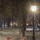 (주)코리아세븐대구죽전점 | 🧡 그랑 콜레오스 무광화이트 시공 후기｜BELLA 썬팅 + 무광PPF·유리막 패키지