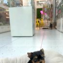 헬로 다키 이미지