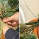 올리브조화 이미지