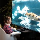 아쿠아셀프세차장 이미지