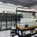 리얼게코