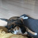 잠실팜약국 이미지