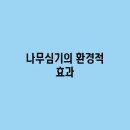 나무환경 이미지
