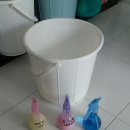 스팀보이 셀프세차 이미지