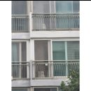 UR(의정부시)-[시민로]-상-55 | 일상 3 : 의정부칼국수, 집들이, 압구정생활, 모비우스보고 한남동(파르크,mtl카페)