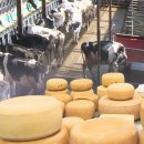 은아유통 이미지