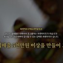 육회먹은꼬막 이미지