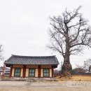 나주향교 이미지