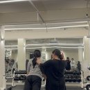 리라핏 거모점 이미지