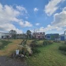 까사보니따 스튜디오 이미지