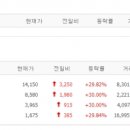 에스이앤에스