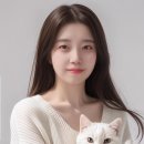 노랑꽃집 선물의 집 이미지