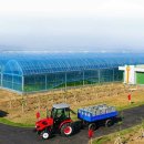 연포농장 이미지