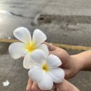 수변로19번길 이미지