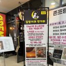 달빛아래까페 | 인천 송도 애견 운동장 “달빛아래 펫카페” 내돈내산 후기 ! 🛝🐾
