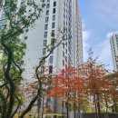 김유미공인중개사사무소 이미지