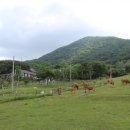 신우농장 이미지