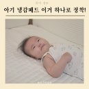 태열 방지를 위한 아기 냉감패드 포렌 여름 더험블 쿨맥스 후기