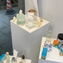 세노브 이미지