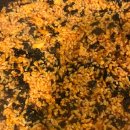 개미집 본점 이미지