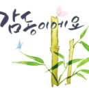 살롱드헤어 홍제점