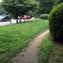삼용아파트앞 이미지