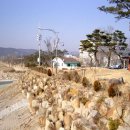 새천년생명의숲 이미지