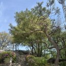 옹기테마공원 | 화랑대역 근처 가볼만한곳 봉화산동행길 무장애숲길