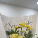 예지모 이미지