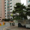 지도로103번길 이미지