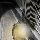 서대구주유소 이미지
