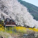 죽연사 이미지