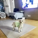 From. 🦍 (8) 이미지