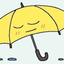 [리빙포인트] 우산 녹슬지 않게 보관하려면 이미지