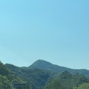 위드댕댕 이미지