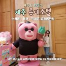 사필귀덕 | [롯데호텔 제주] 알찬 해온 수영장 샤롯데 호캉스 주변맛집 이공이시 대만족!