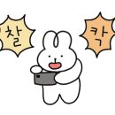 가윤흑돼지 이미지