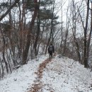 (주) 팔봉