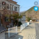 대흥 은행나무길 이미지