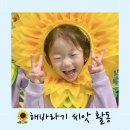 가온누리어린이집 이미지