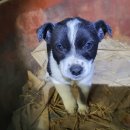 쌍책면사무소 이미지