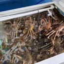 대흥장여관 이미지